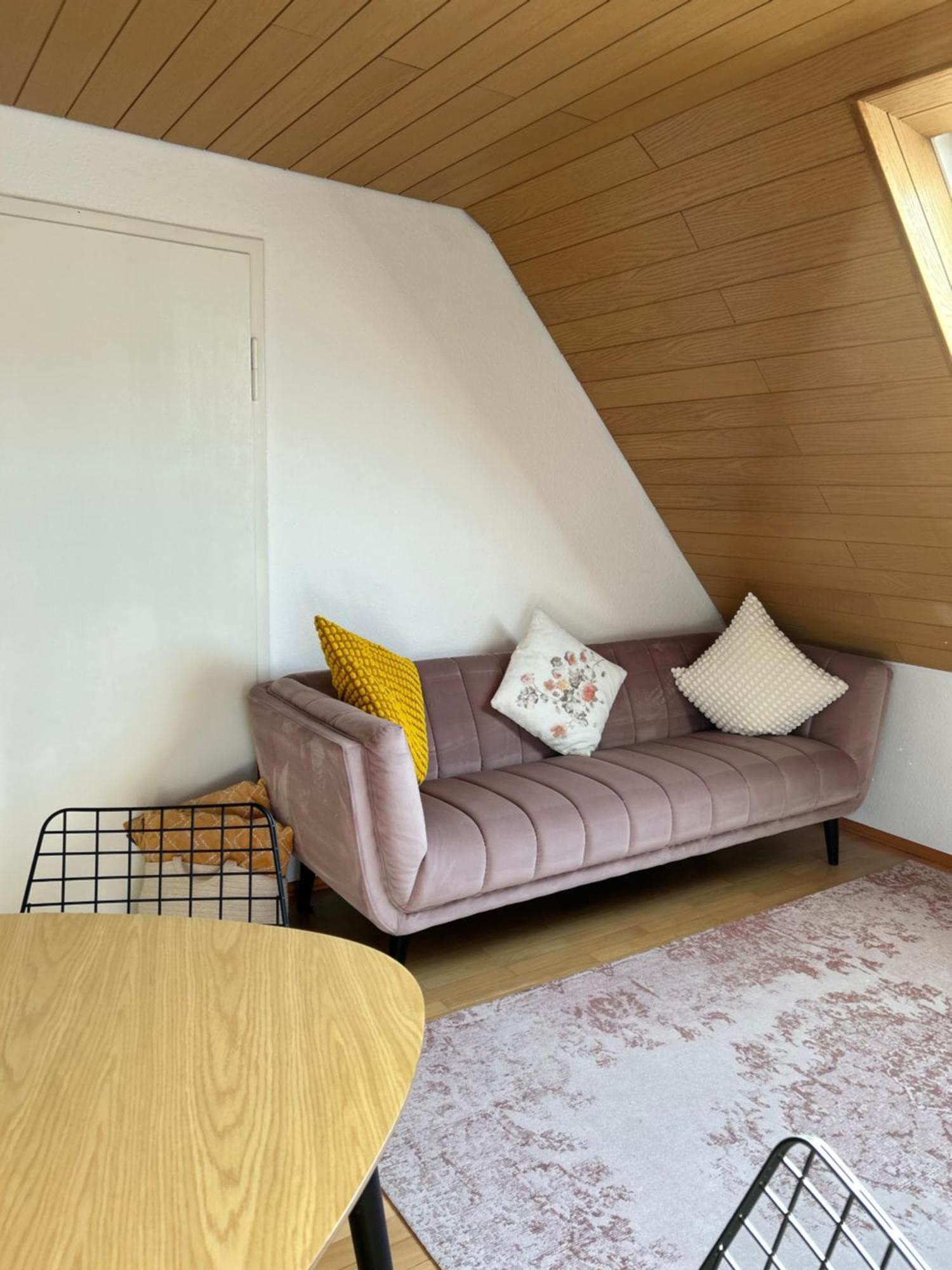 Feriendomizile Menholz Apartment Balingen Exterior foto